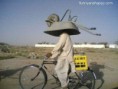 /album/nepochopitelne-hloupe-napady/funny-cyclist-with-a-wheel-on-the-head-jpg/